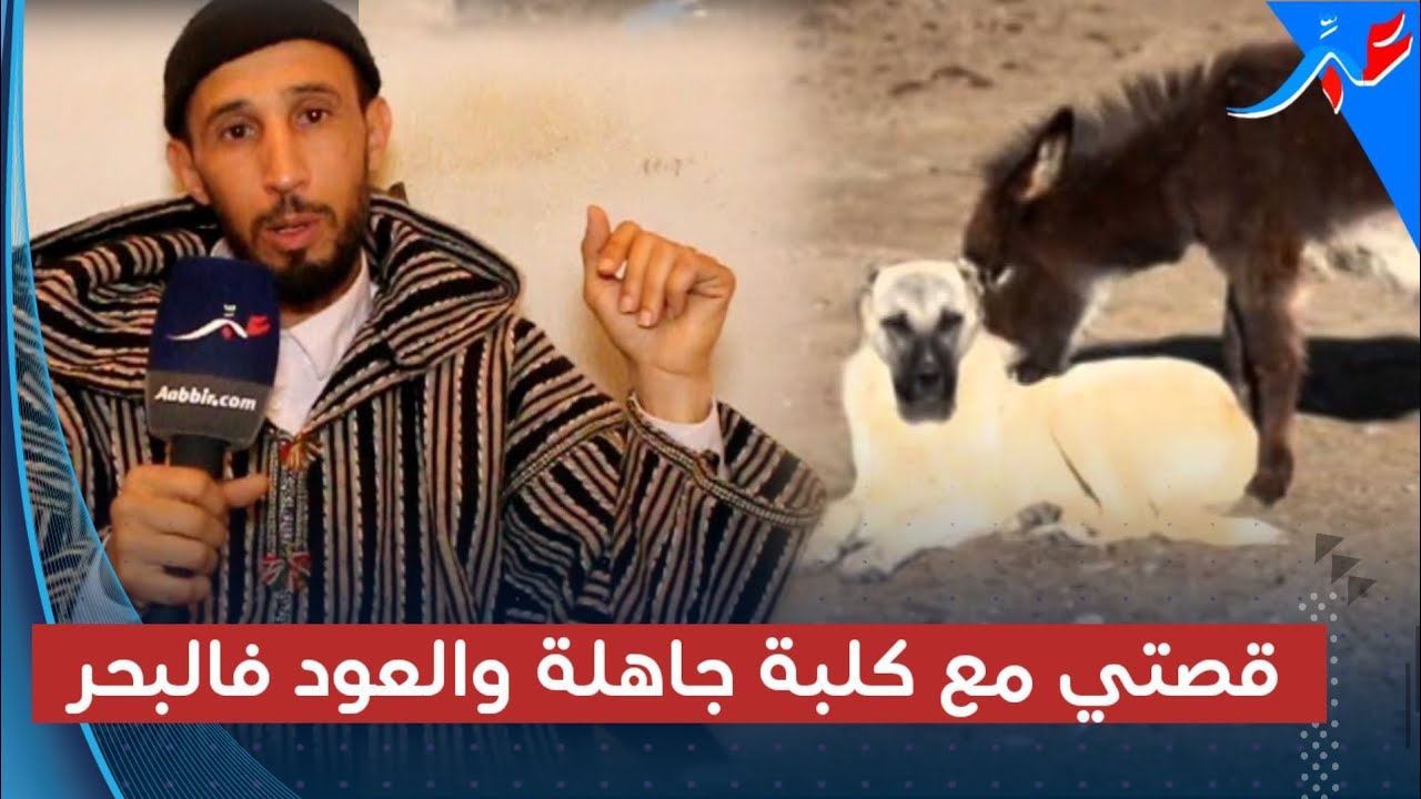 الحلقة السادسة من القصص الغريبة مع رشيد..قصتو مع كلبة جاهلة