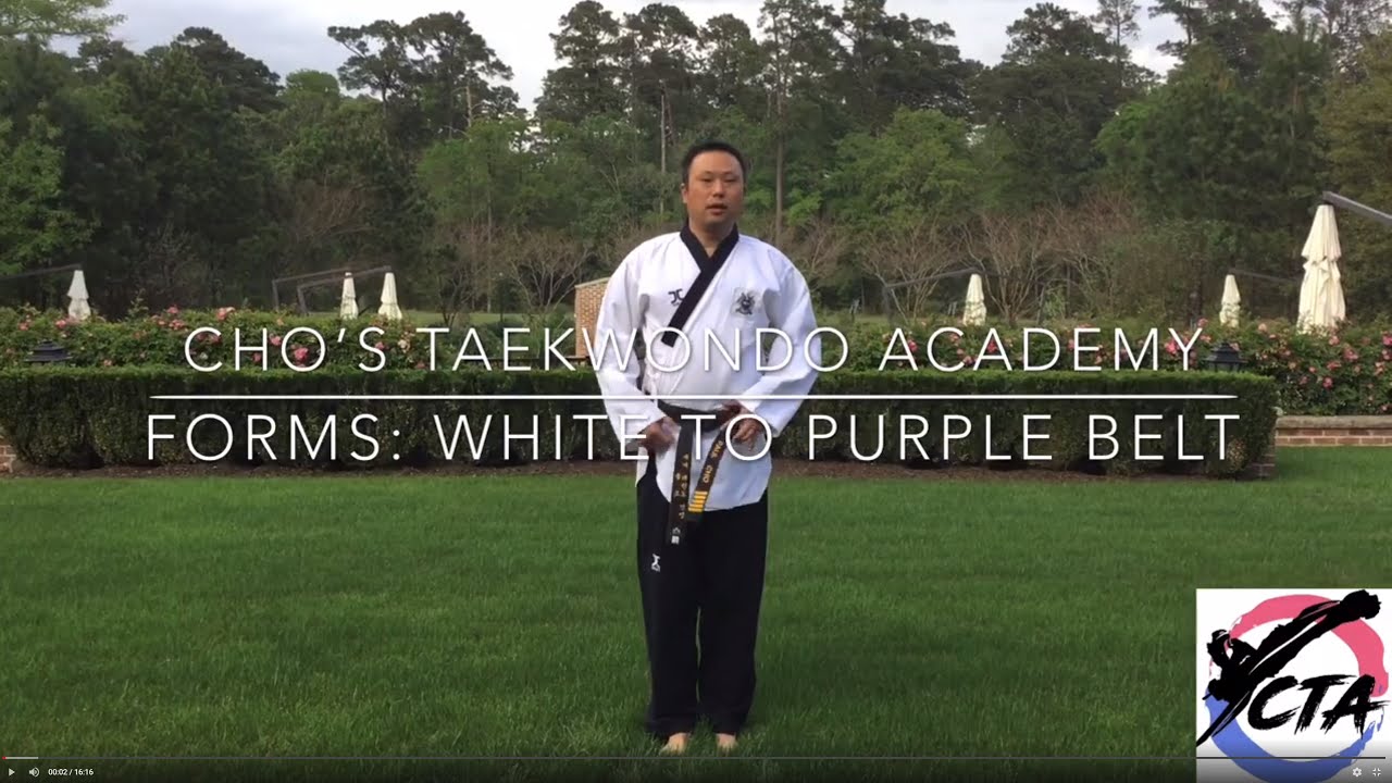 TaeKwonDo Forms - White, Yellow, Orange, Green & Purple Belt Forms