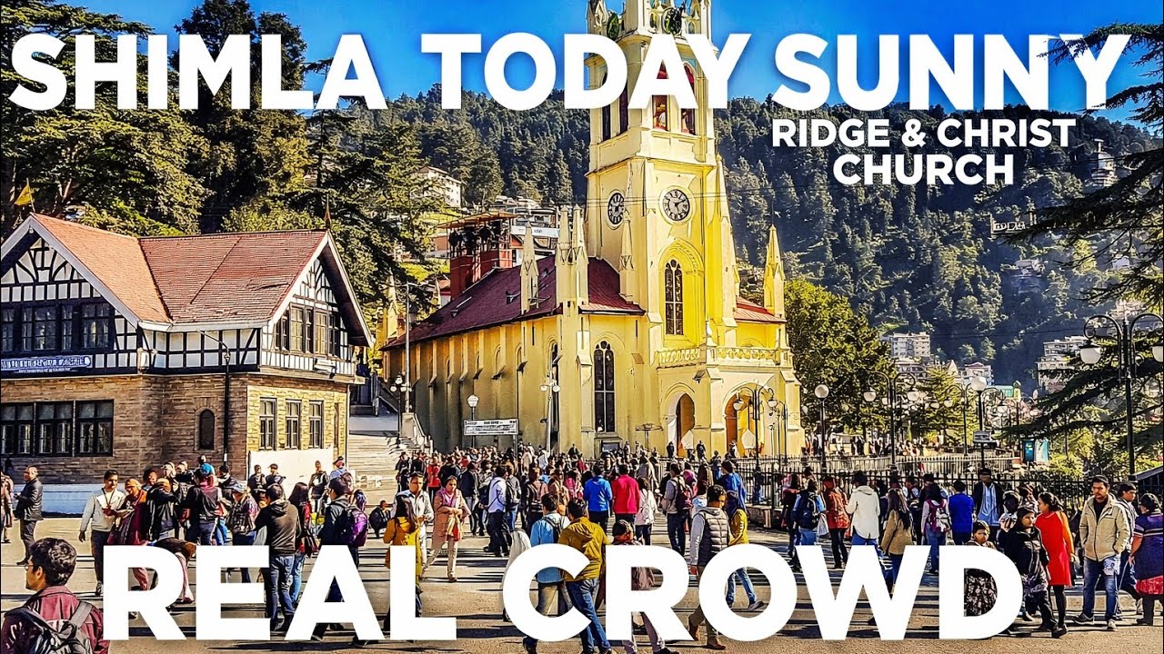 Shimla Weather Today ☀️ Sunny Day with Real Crowd | #shimla #himachal #weatherupdate #travelvlogs 