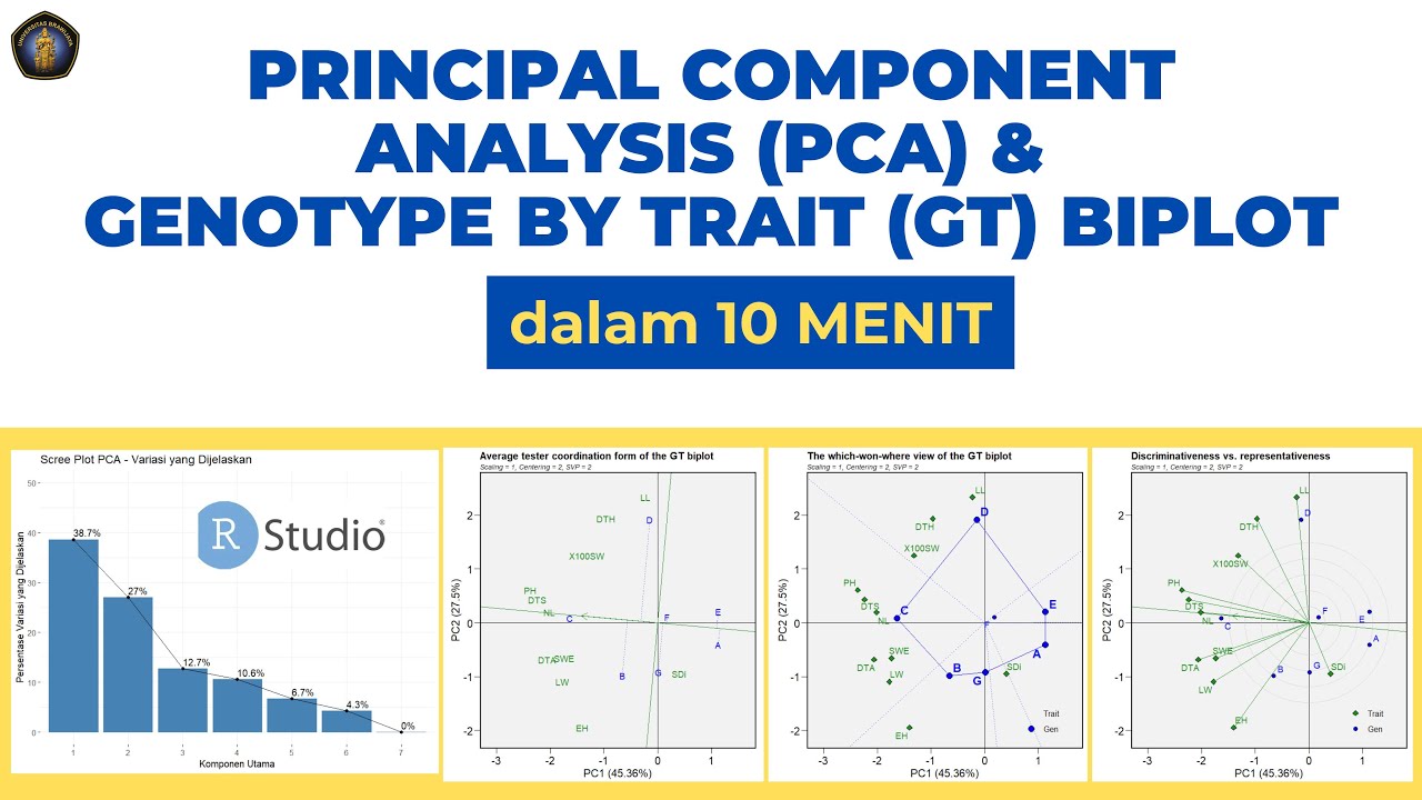 10 Menit Bisa Principal Component Analysis (PCA) DAN Genotype by Trait (GT) Biplot