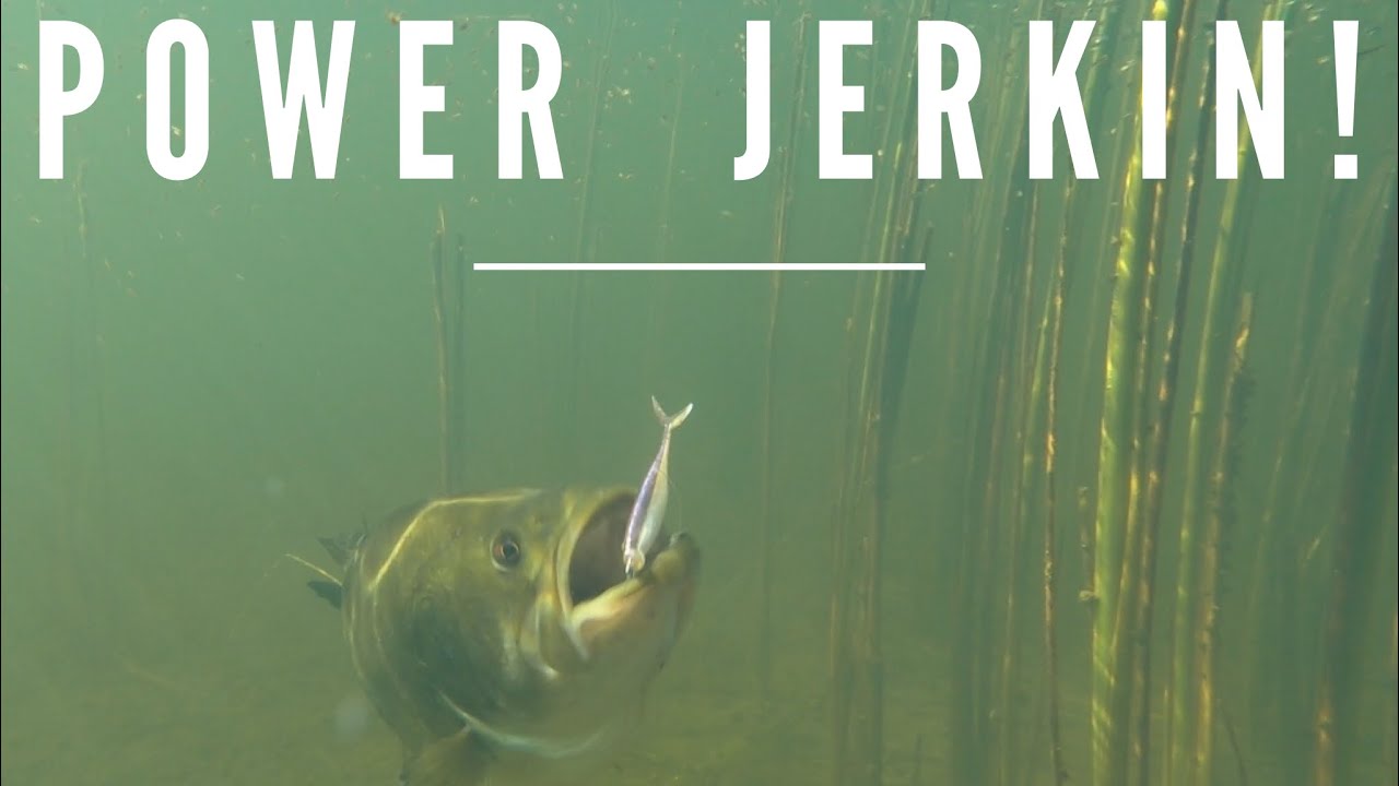 POWER JERKIN' PRE-SPAWN BASS - Dave Mercer's Facts of Fishing THE SHOW Season 12 Full Episode