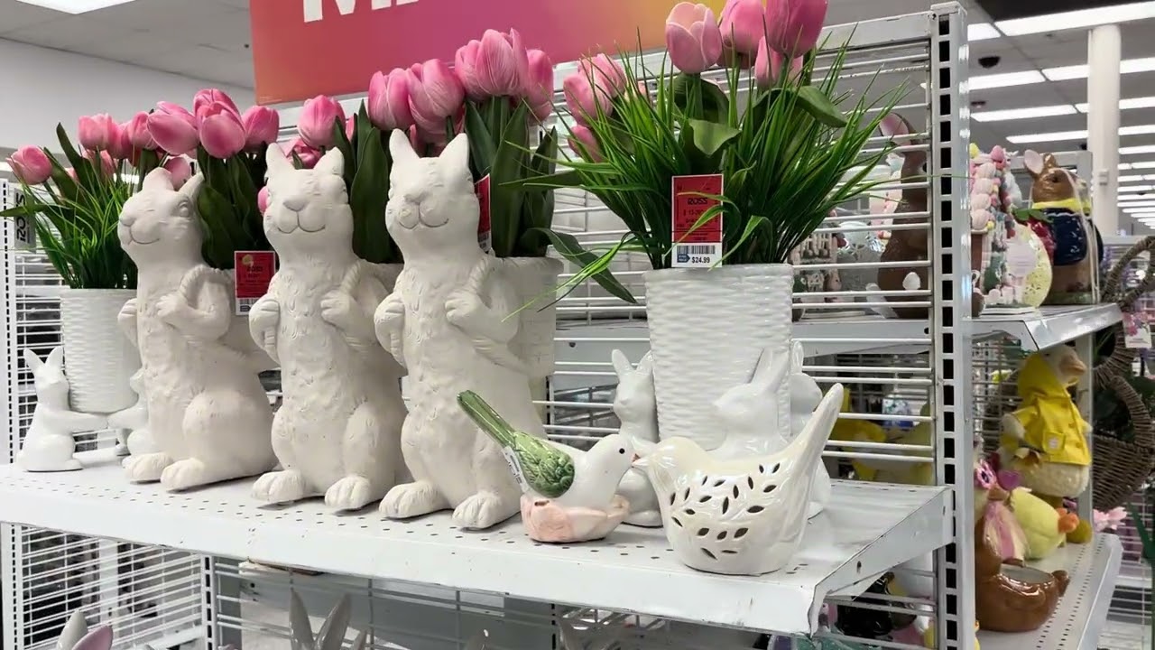 Comprando unas cositas en Ross y dd’s discount 