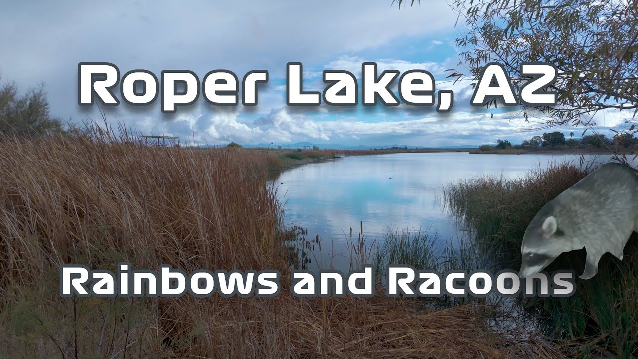 Roper Lake: Rainbows and Racoons in Arizona