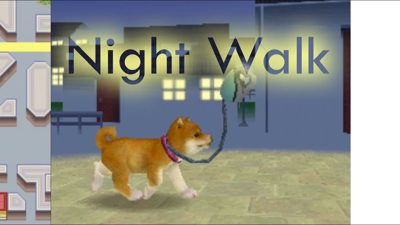 Night Walk | Nintendogs Lab & Friends