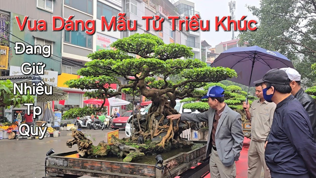 VUA SANH DÁNG MẪU TỬ TRIỀU KHÚC là ai ? So với GIÁ MUA toàn NHÂN HÀNG 100 LẦN RỒI !