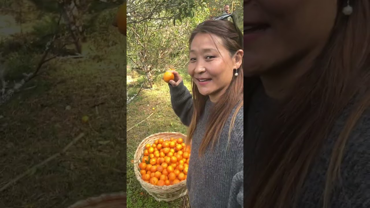 Orange 🍊Garden 👈🏻👈🏻👈🏻