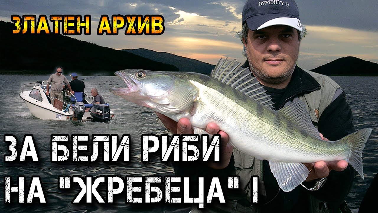 За БЕЛИ РИБИ на 