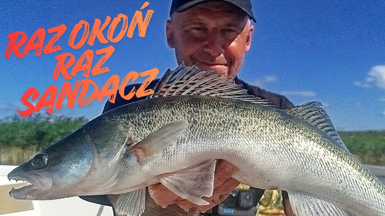Lato....Raz okoń raz sandacz