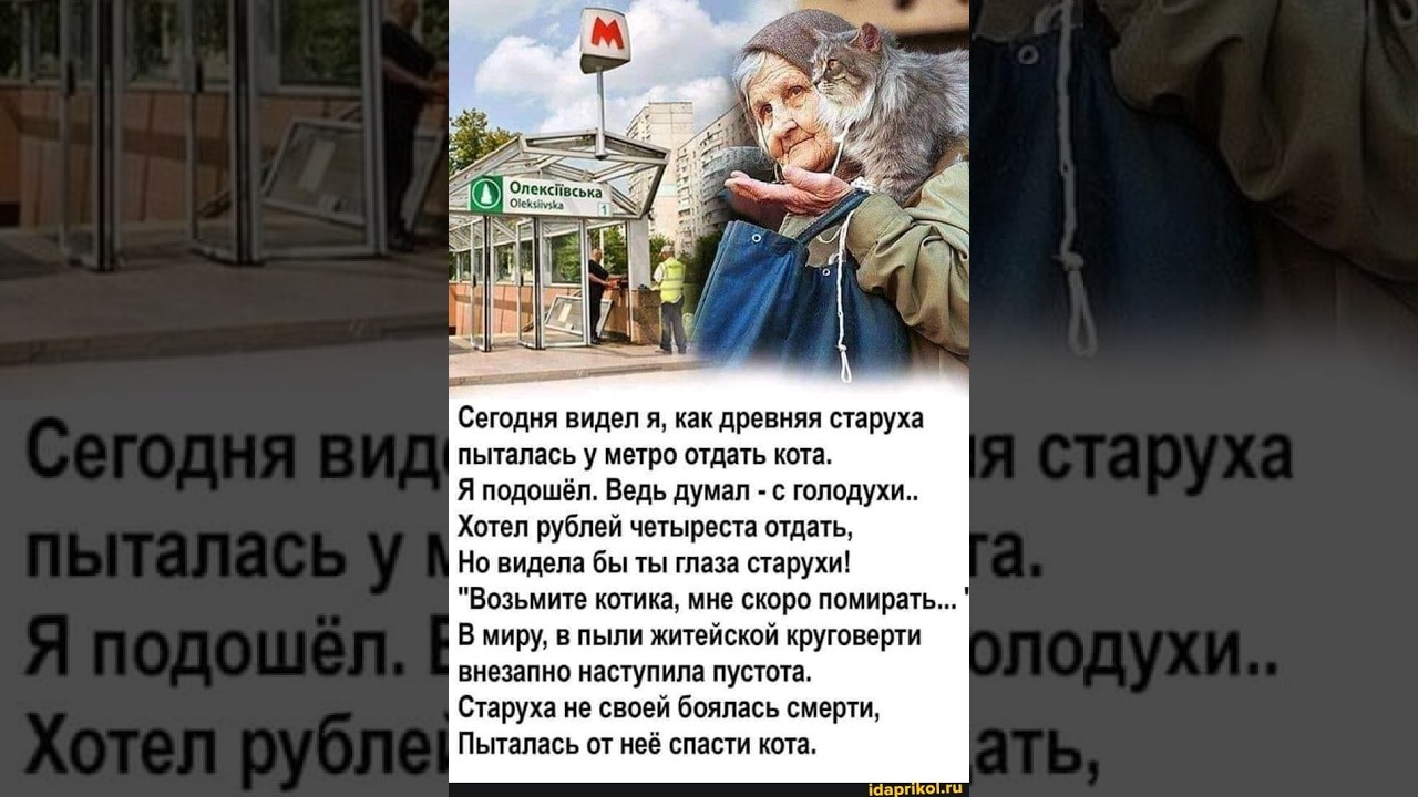 Возьмите Кота.