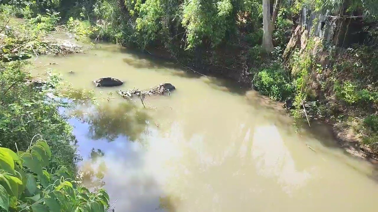 LIVE REPORT - Kondisi sungai di Bailang Manado mulai kering akibat musim kemarau