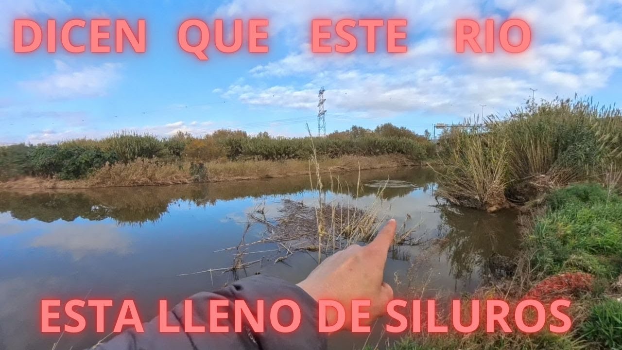 EP1: DICEN QUE ESTÁ LLENO DE SILUROS ESTE RÍO/ 5 SALIDAS EN ESTE AÑO Y NO LOS PUEDO ENCONTRAR/