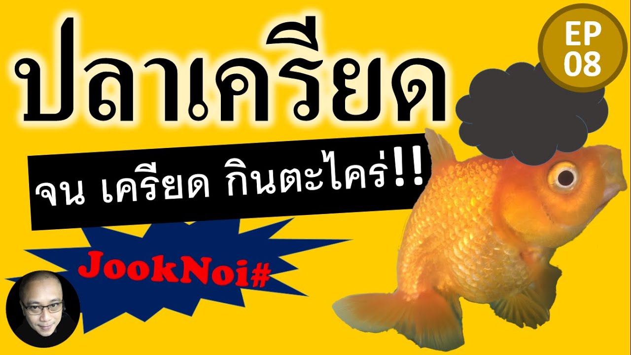 ความเครียดของปลา ทำตามนี้ได้ทุกข้อ รับรองว่าปลาไม่ป่วยง่ายๆ #ปลาทอง #goldfish EP8