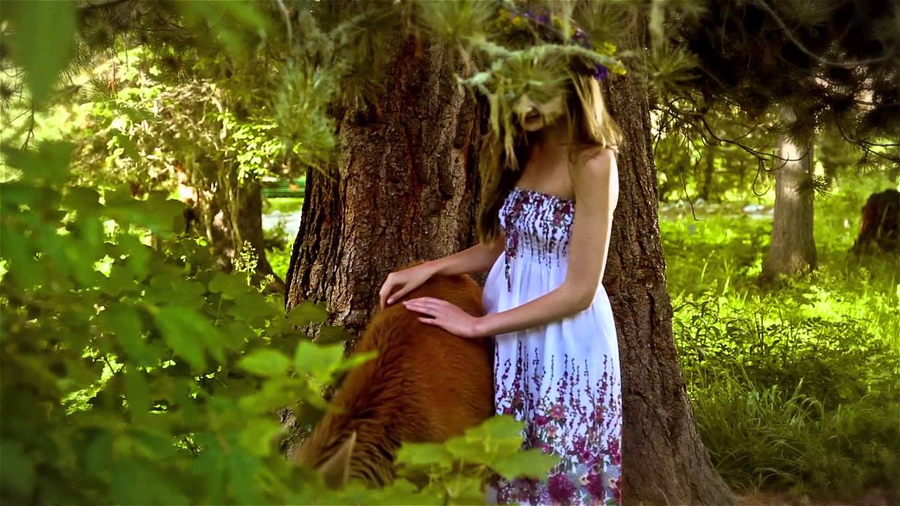 fin1   HD   AVI Video