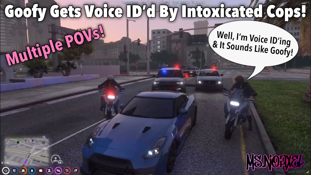Goofy Gets Voice ID’d (MultiPOV Police Chase) | NoPixel WL GTARP