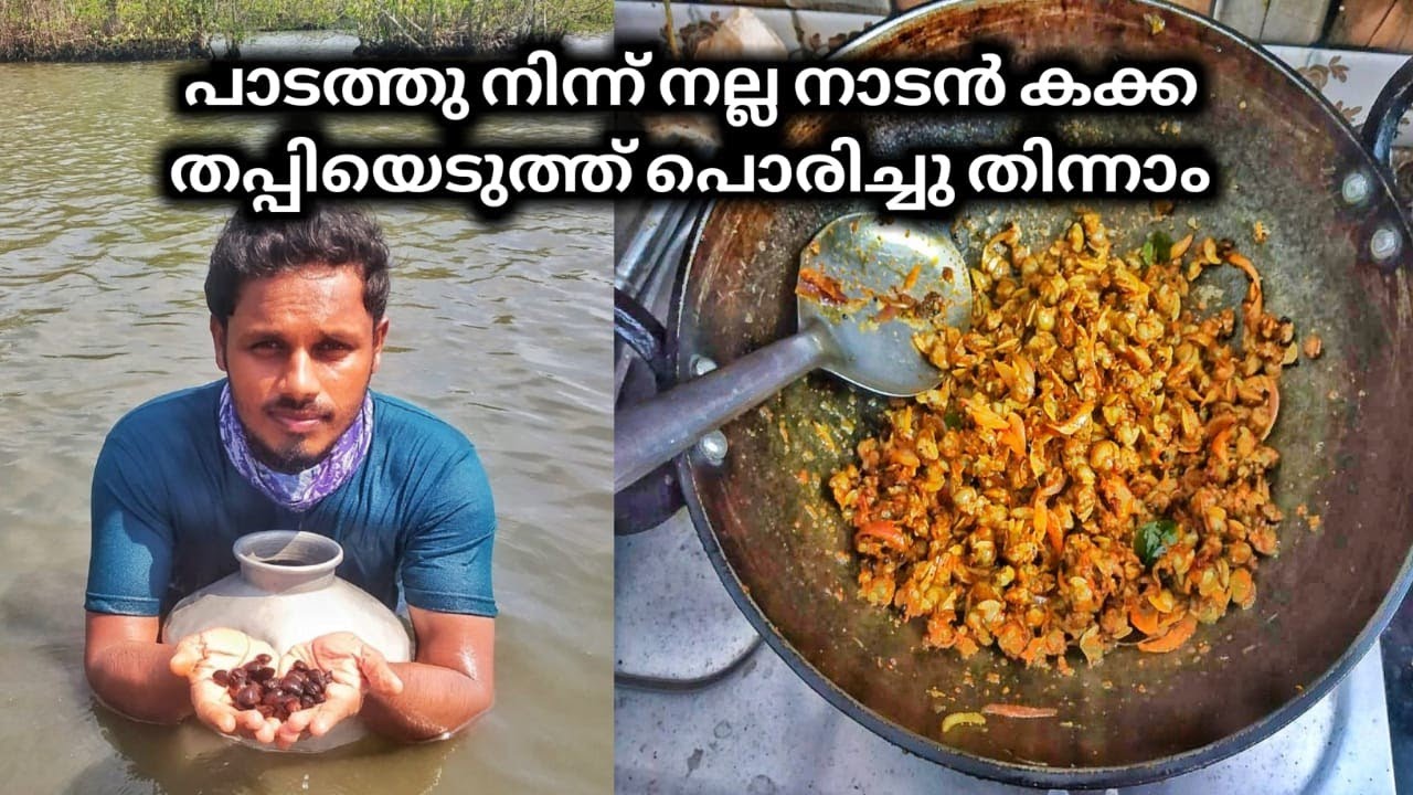 പാടത്തു നിന്നു നല്ല നാട൯ കക്ക തപ്പി എടുത്തു പൊരിച്ചു തിന്നാ൦