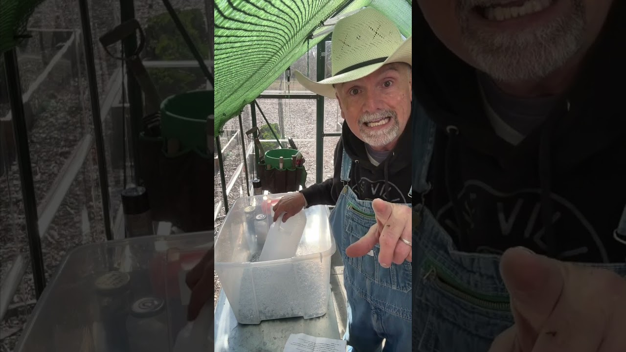 Seedling Soil Mix and Bonus Tomato Soil mix. Time to get those seedlings rolling! #seedlings #garden
