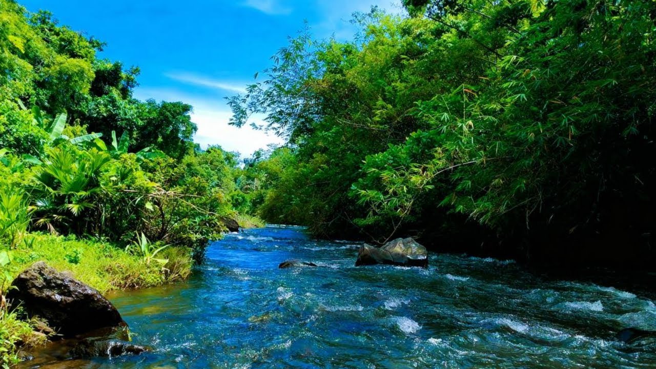 LIVE RIVER FLOW ASMR – CALMING NATURE SOUNDS FOR DEEP SLEEP, MEDITATION & FOCUS