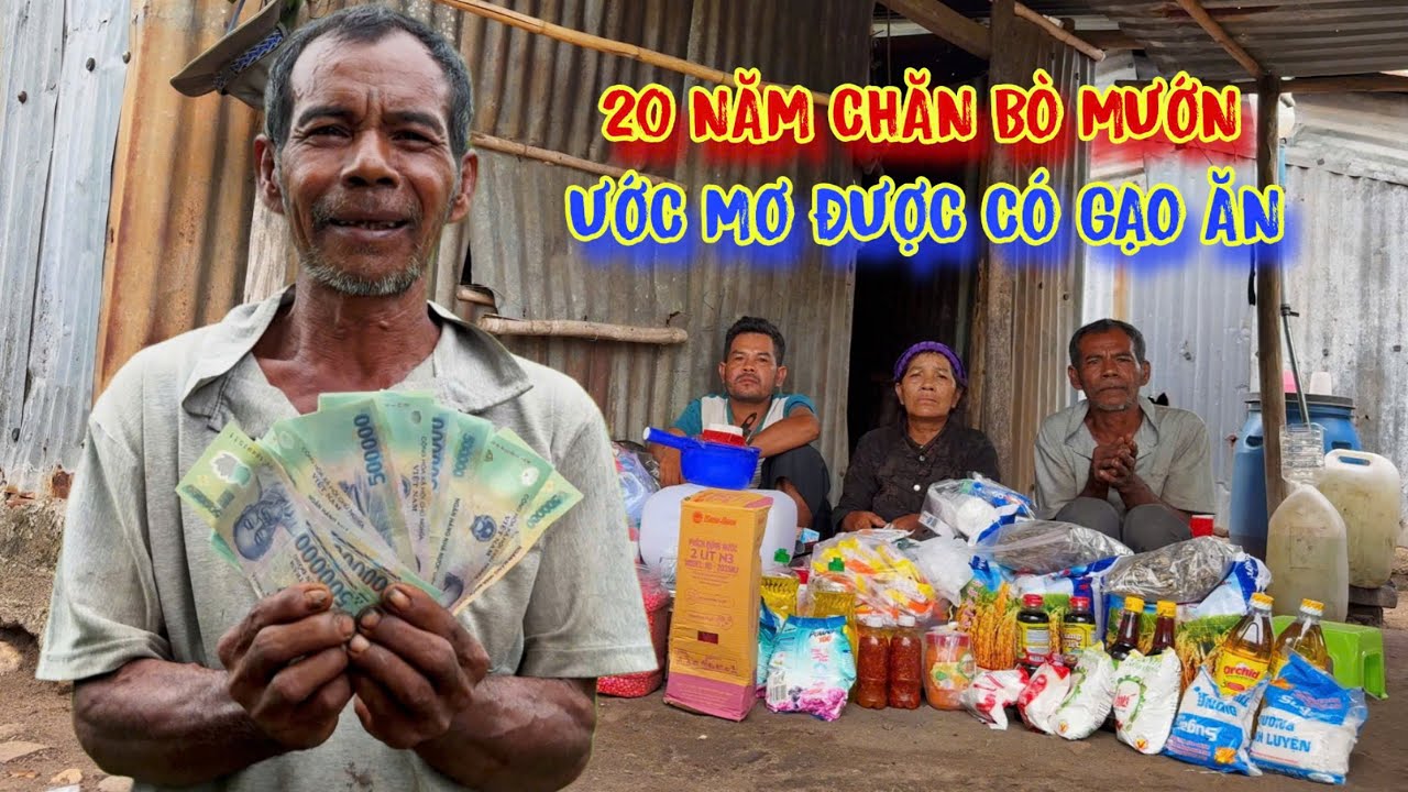 GIA ĐÌNH nghèo, hơn 20 năm ở trong rừng, chăn bò mướn KIẾM CƠM - tập 1513