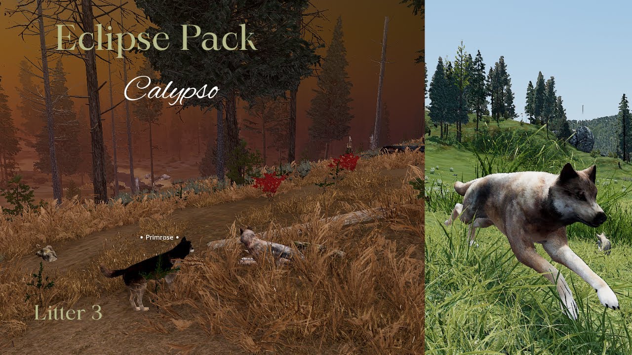 Eclipse Pack - Calypso L3 - Young Hunters/Raise Pups [WolfQuest Saga]