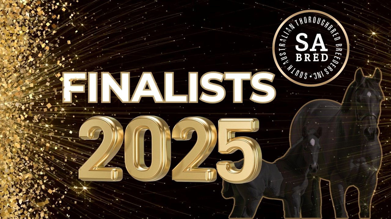 SA Breeders Awards 2025 13 exceptional finalists represented the very best SA Thoroughbred Breeders.