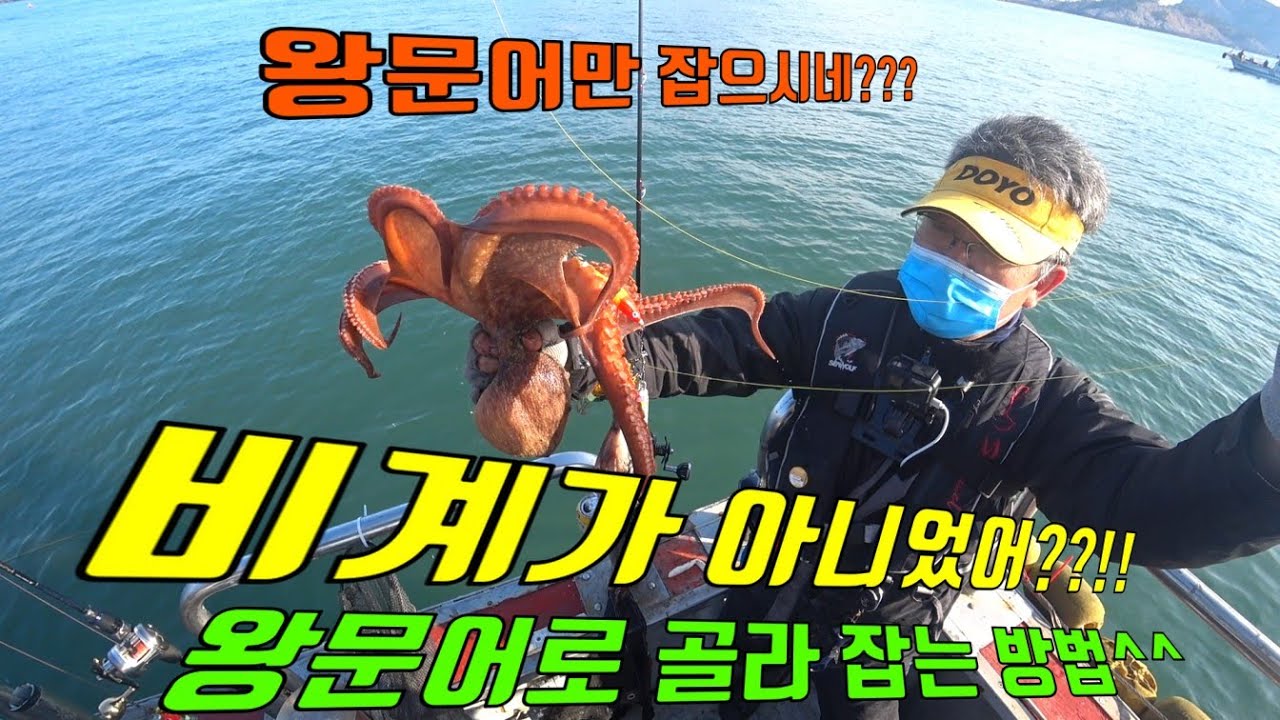 왕문어 골라서 잡으려면 이거 써보세요~^^ 이거 달았더니 사이즈로~^^