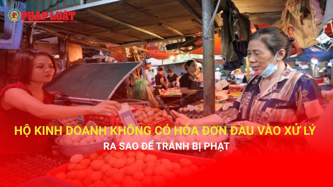 Hộ kinh doanh không có hóa đơn đầu vào xử lý ra sao để tránh bị phạt