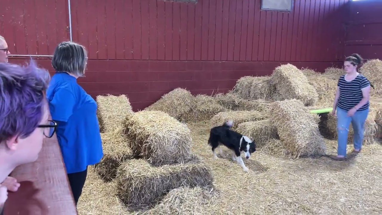 Sass Crazy 8’s 10-20-2024 NADM