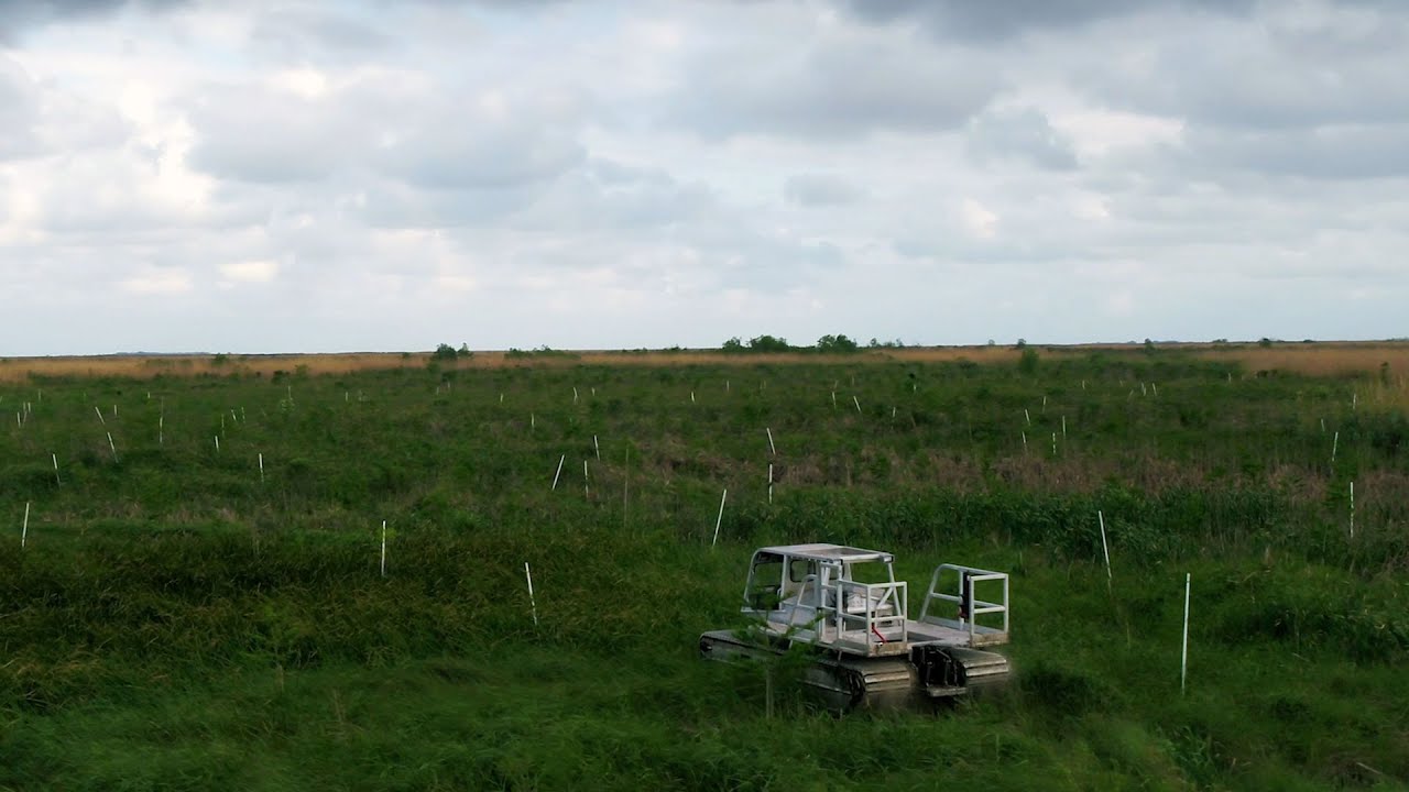 Gulf Coast Conservation