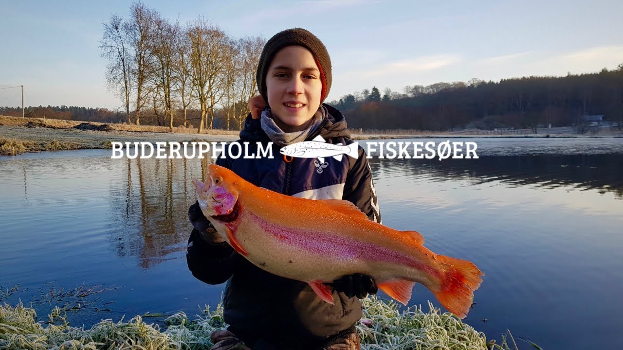 Tremarella sæsonstart i Buderupholm Put and take
