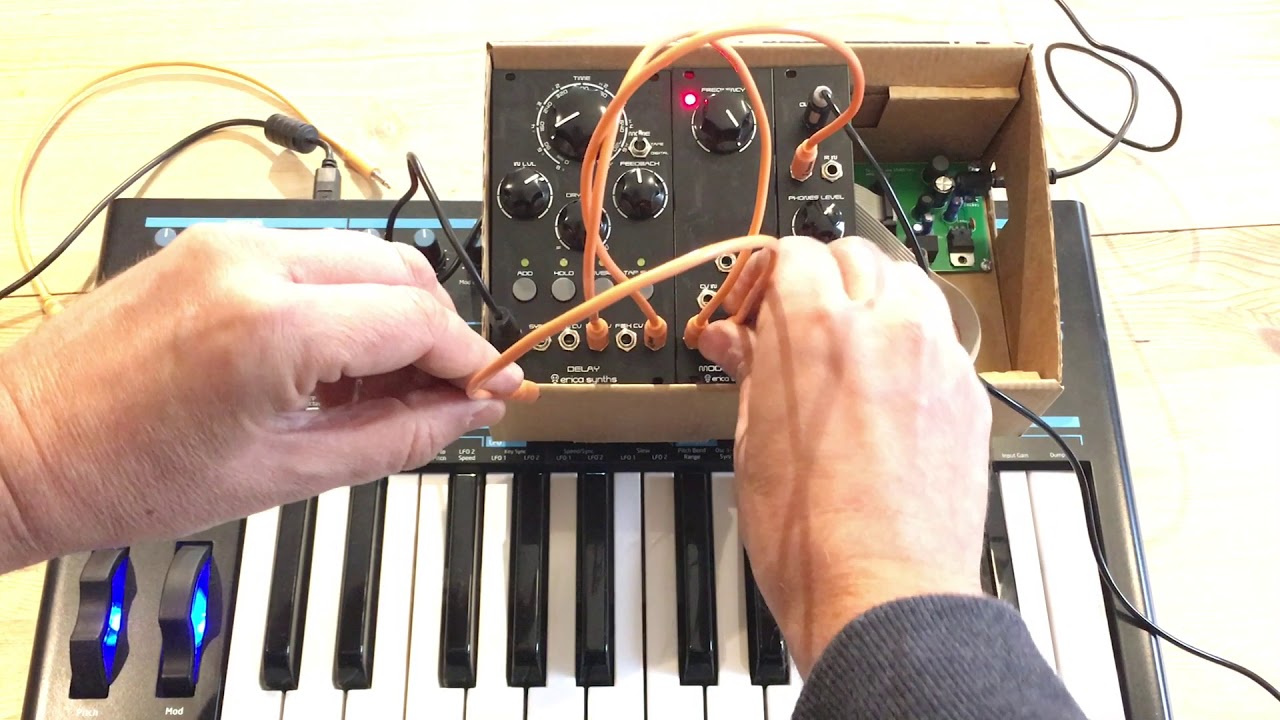 Erica Synths DIY Delay CV inputs