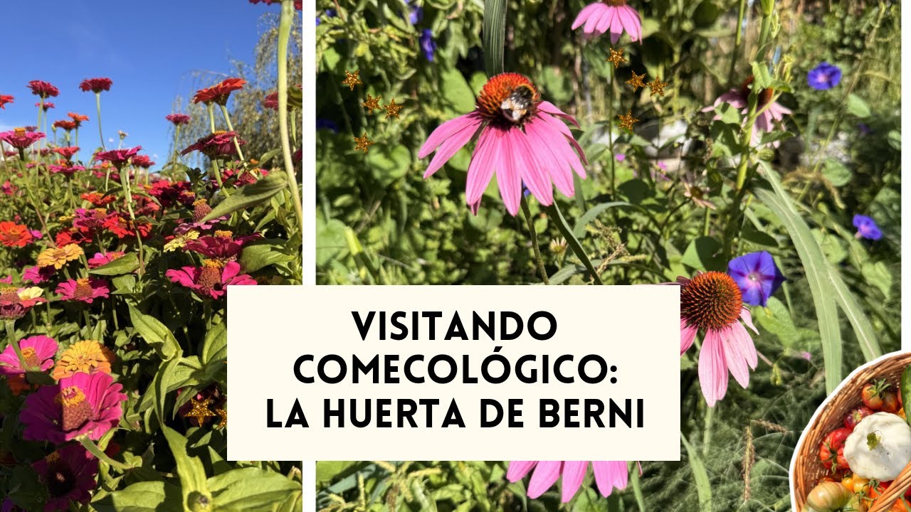 Visitando Comecológico: la huerta de Berni! 🌿🌸💚🍅