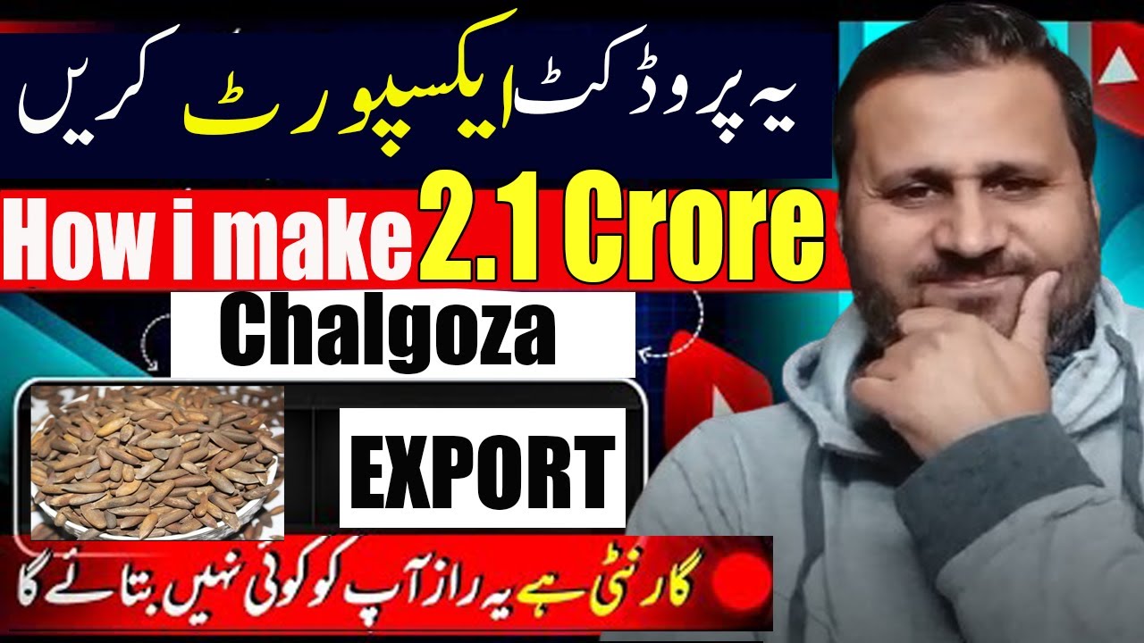 Chalgoza Export kar ky kaisay munafa kamaya mein ny?|| Complete Export Guide  #importexportbusiness
