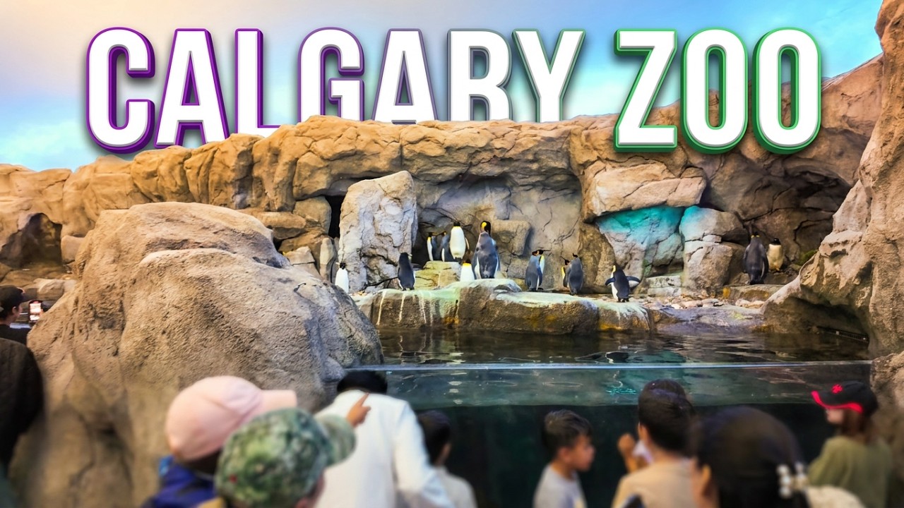 🇨🇦 Calgary Zoo Summer 2025 Full Walking Tour