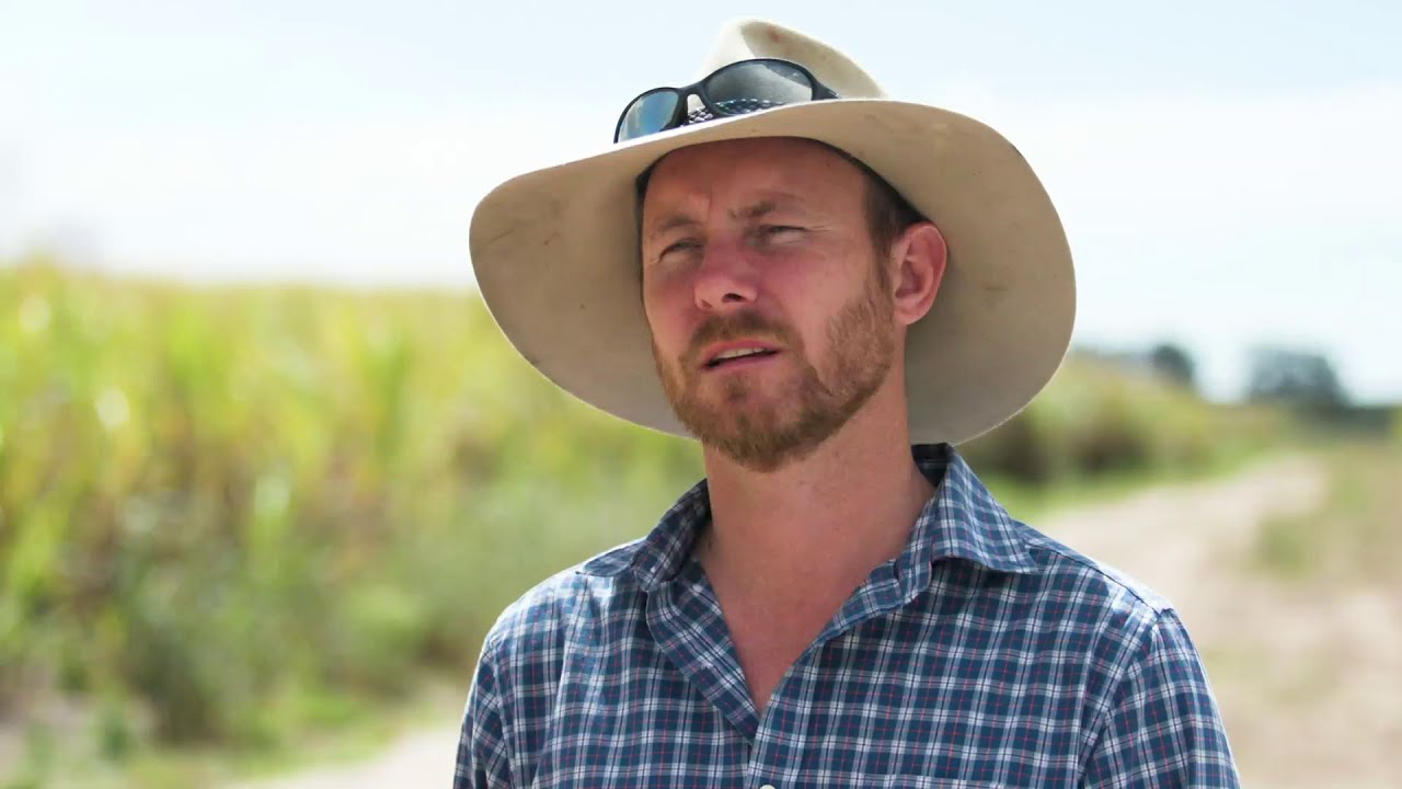 Sugarcane growers teaming up with researchers as part of the SIP2 program