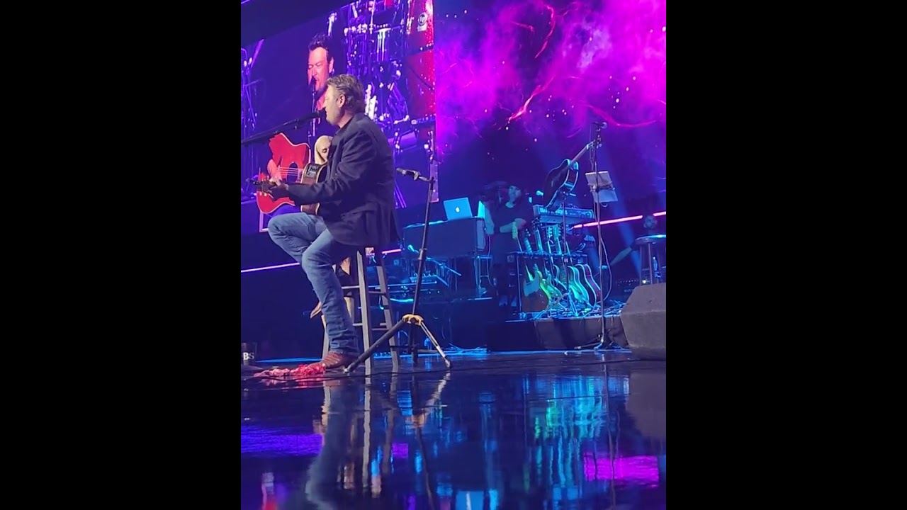 Power of Love Gala 2024 honoring Blake Shelton.