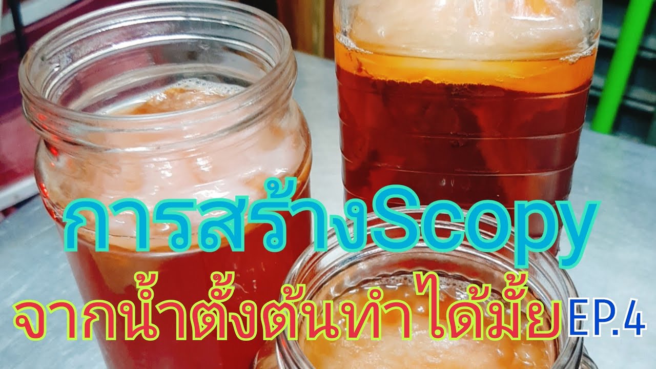 #kombucha การสร้างScopyจากน้ำตั้งต้นEP.4