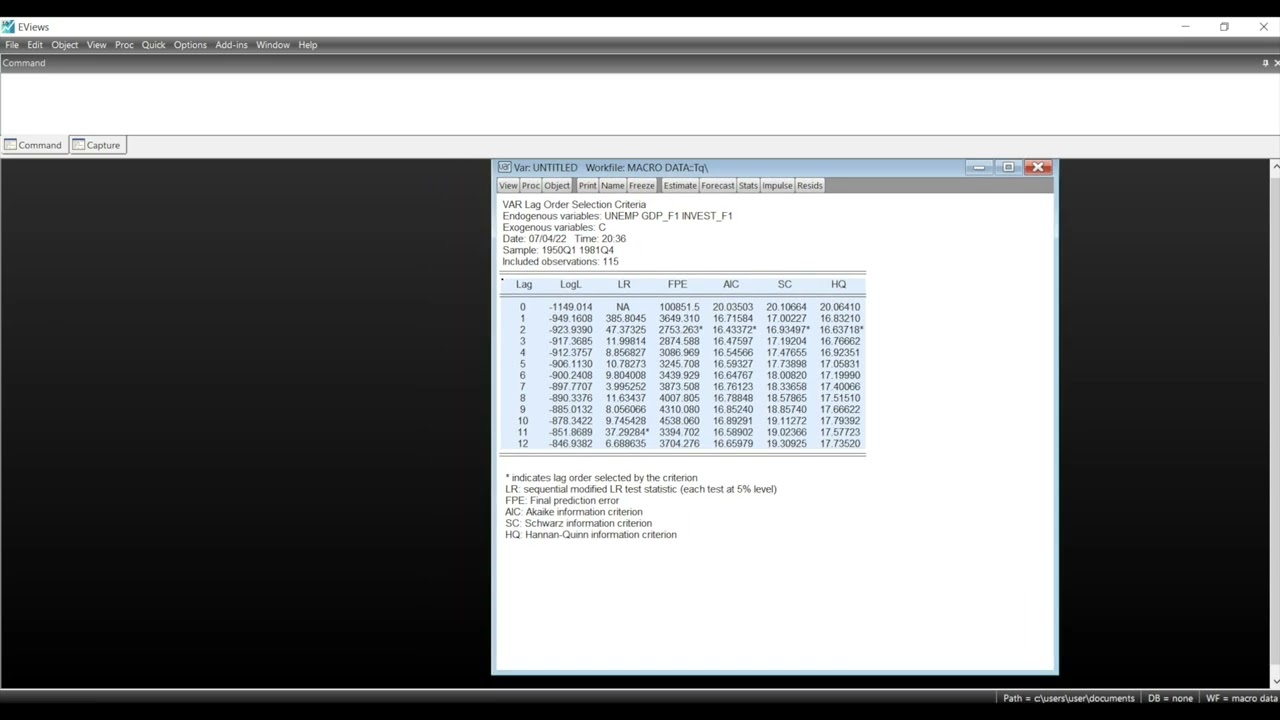 EVIEWS ile TEMEL EKONOMETRİ DERS 20 - VAR ANALİZİ ve ETKİ TEPKİ ANALİZİ İKİNCİ KISIM