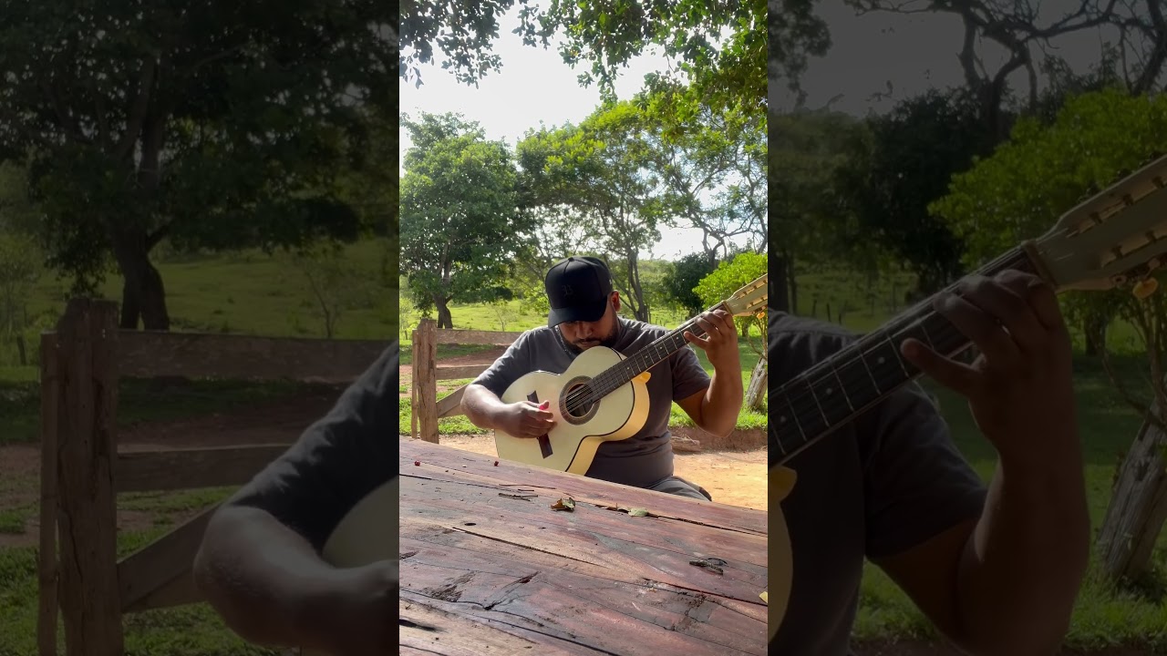 O mineiro e o italiano introdu&ccedil;&atilde;o #sertanejo #musica #modao #caipira #agro #fazenda #cavalo #viola