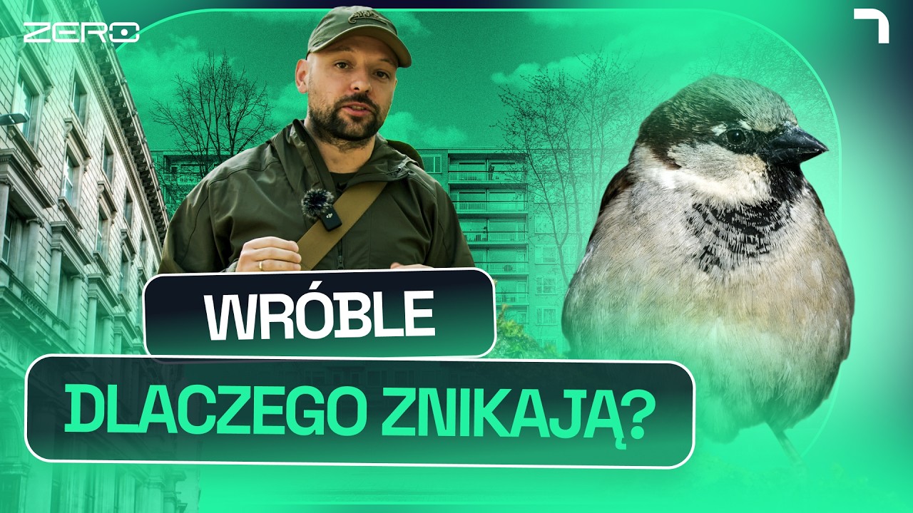 TO BĘDZIE KATASTROFA - CO SIĘ STANIE, JEŚLI ZNIKNĄ WR&Oacute;BLE | GATUNEK ZERO #37