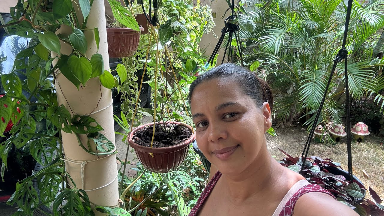 PRIMEIRO VÍDEO DE ANO 🌸plantas lindas e bem cuidadas🥰tour por elas 