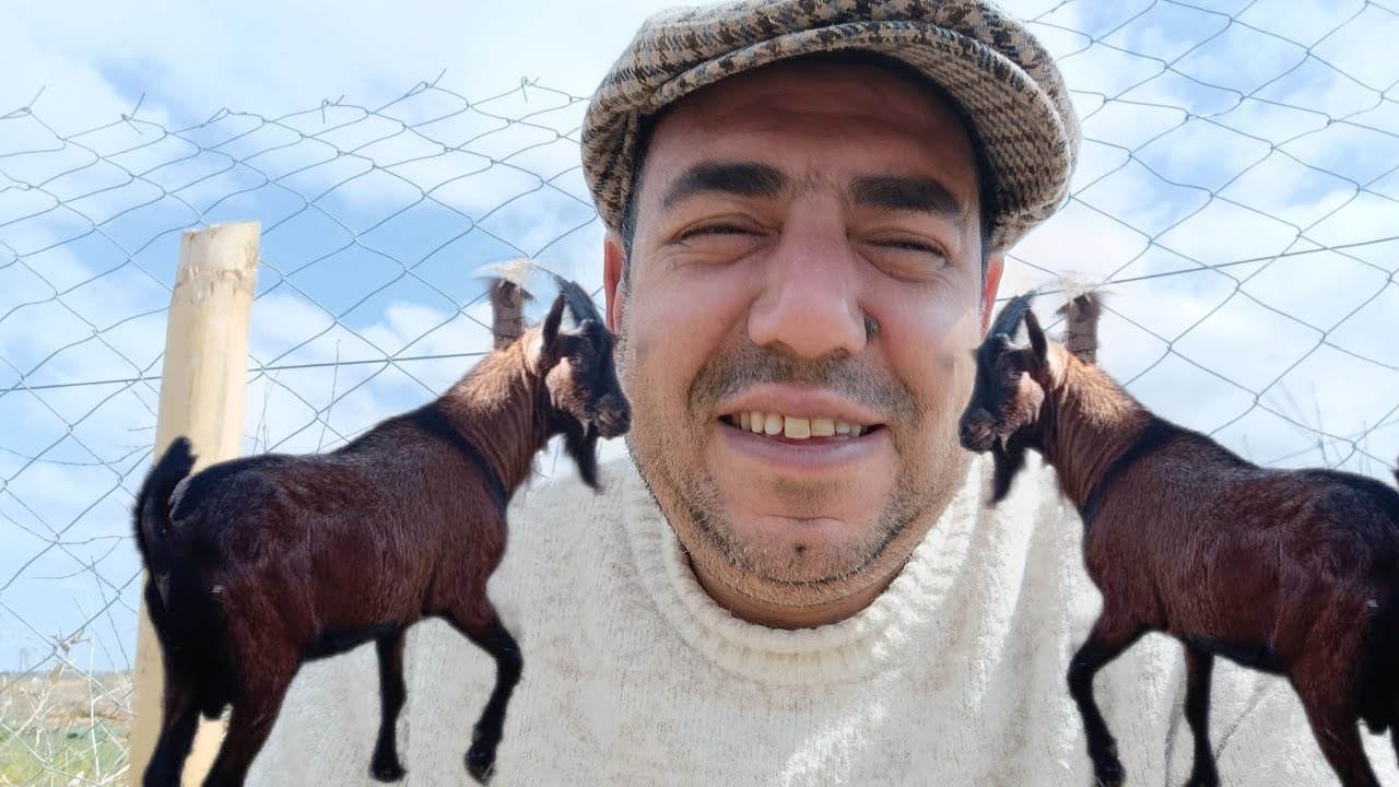 مال البشار شنو خصو⁉️سير الله يسهل...شوفي غيرو او شوف كيكو تبعك😉