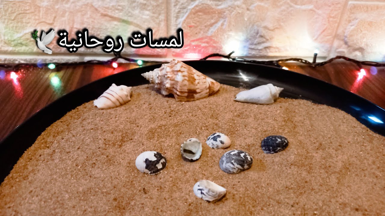 حصري خيرة بالودع لبرج السرطان♋️🔥مدتها شهر من الان 💯 انوي واضمر النية وافتح الفيديو 🎯