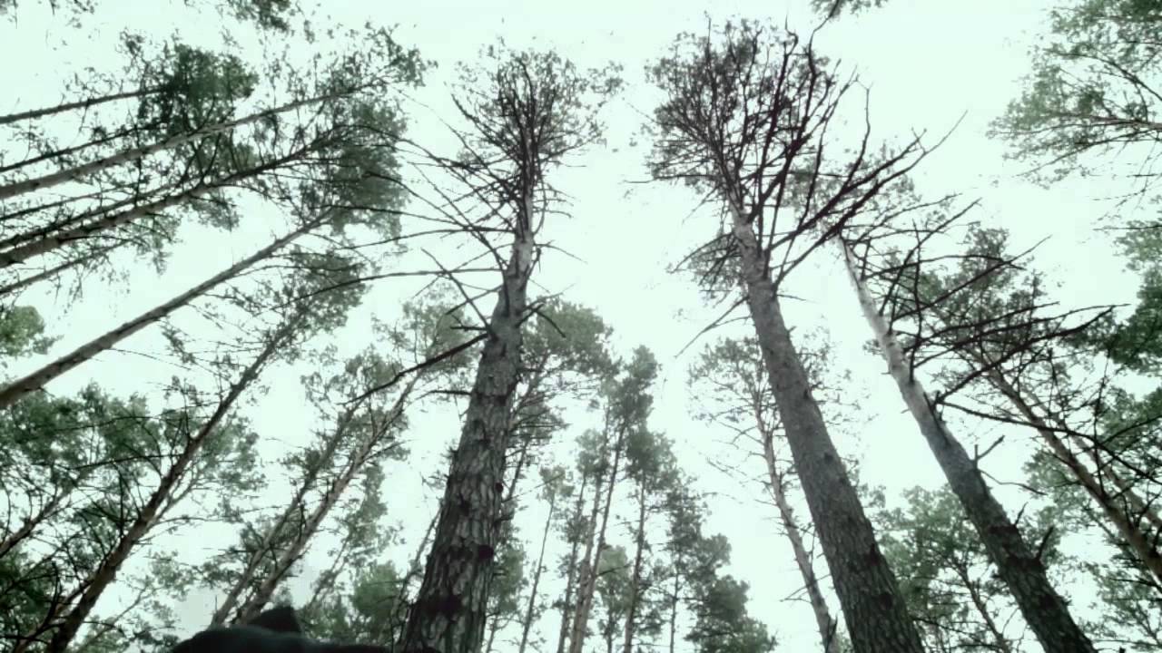 За Полк - Моими глазами (feat. Чаян Фамали)