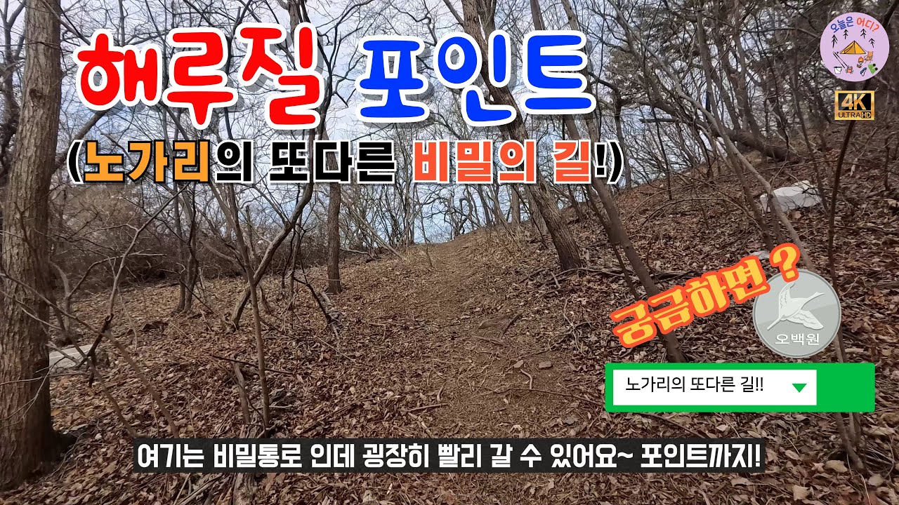 해루질 포인트 (노가리 비밀의 길!) #경기권 #해루질 #영흥도