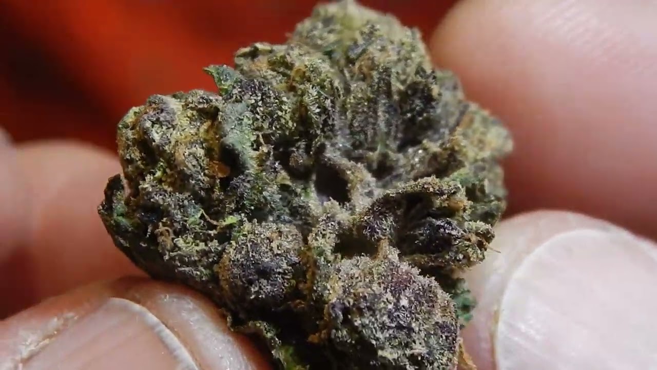 LIT Farms 