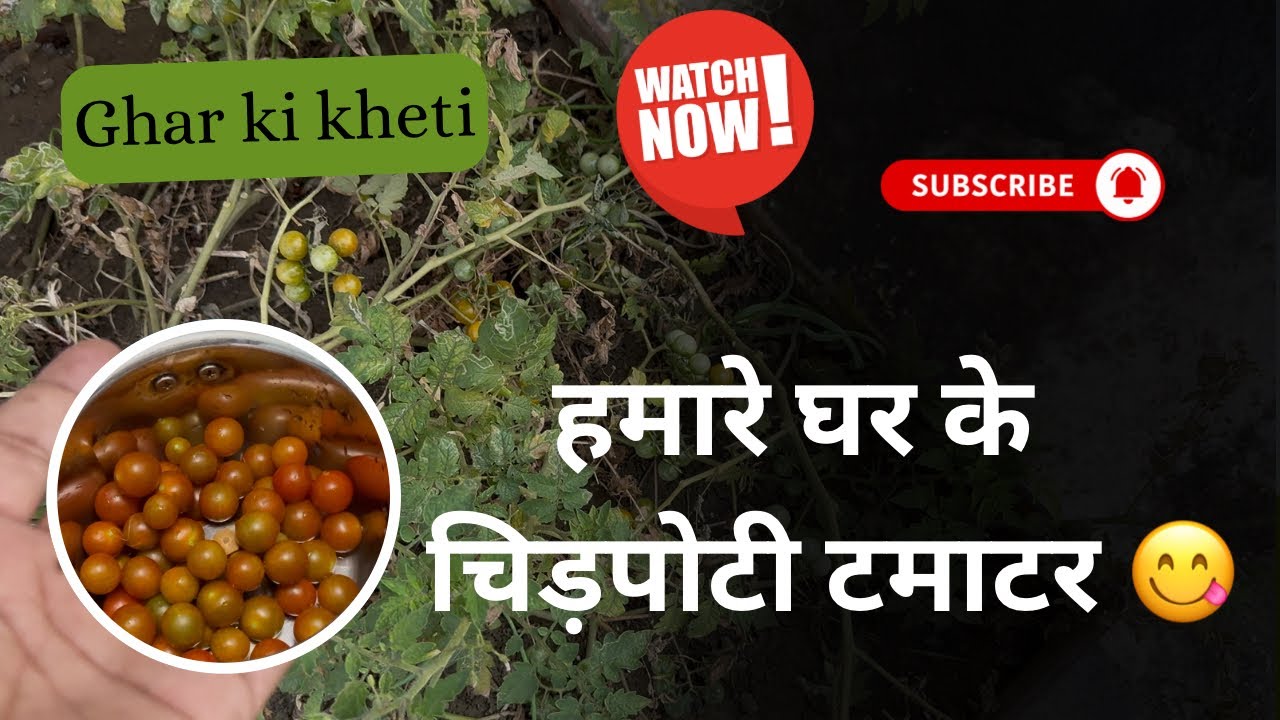 Hamare Ghar me karte hai kheti 😂 