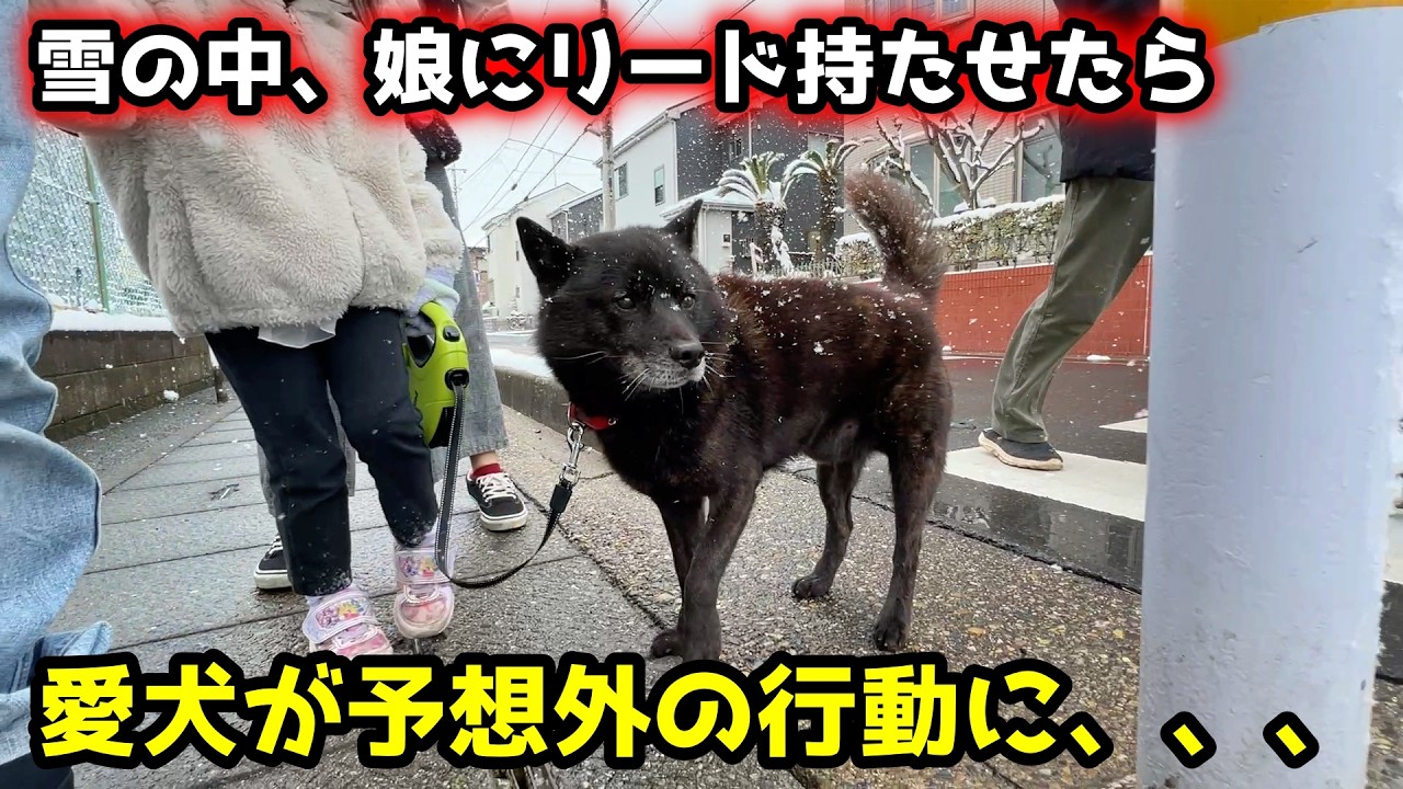 【ほっこり】雪の中、娘と散歩してたら愛犬がまさかの行動に・・・