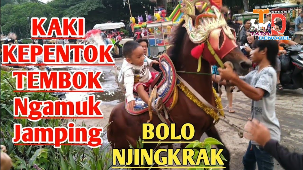 Kaki Kuda Kepentok Tembok..?? Kuda Ngamuk JAMPING ||  2020-02-07 || tato denggel