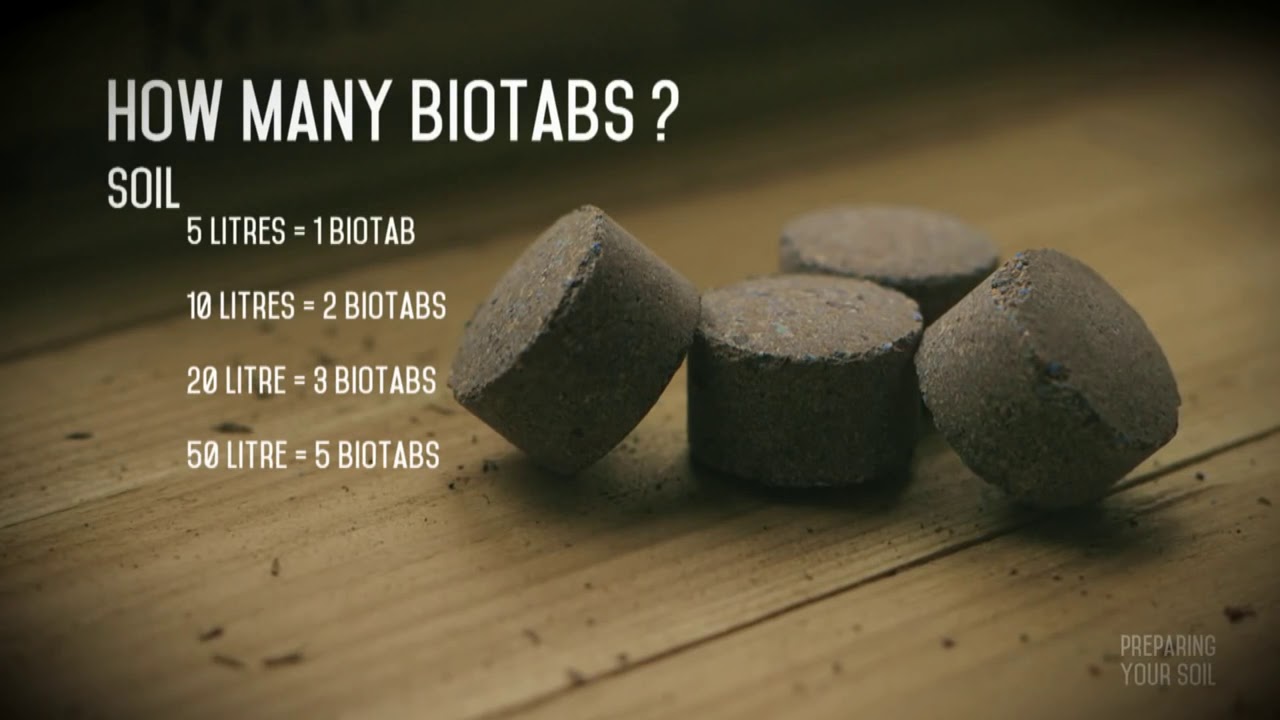 BioTabs STARTERKIT Manual
