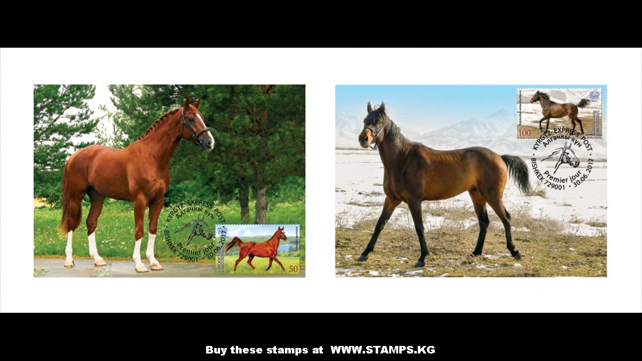 Horse Stamps Alligator